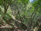 Sunol 019  Eagles View Trail